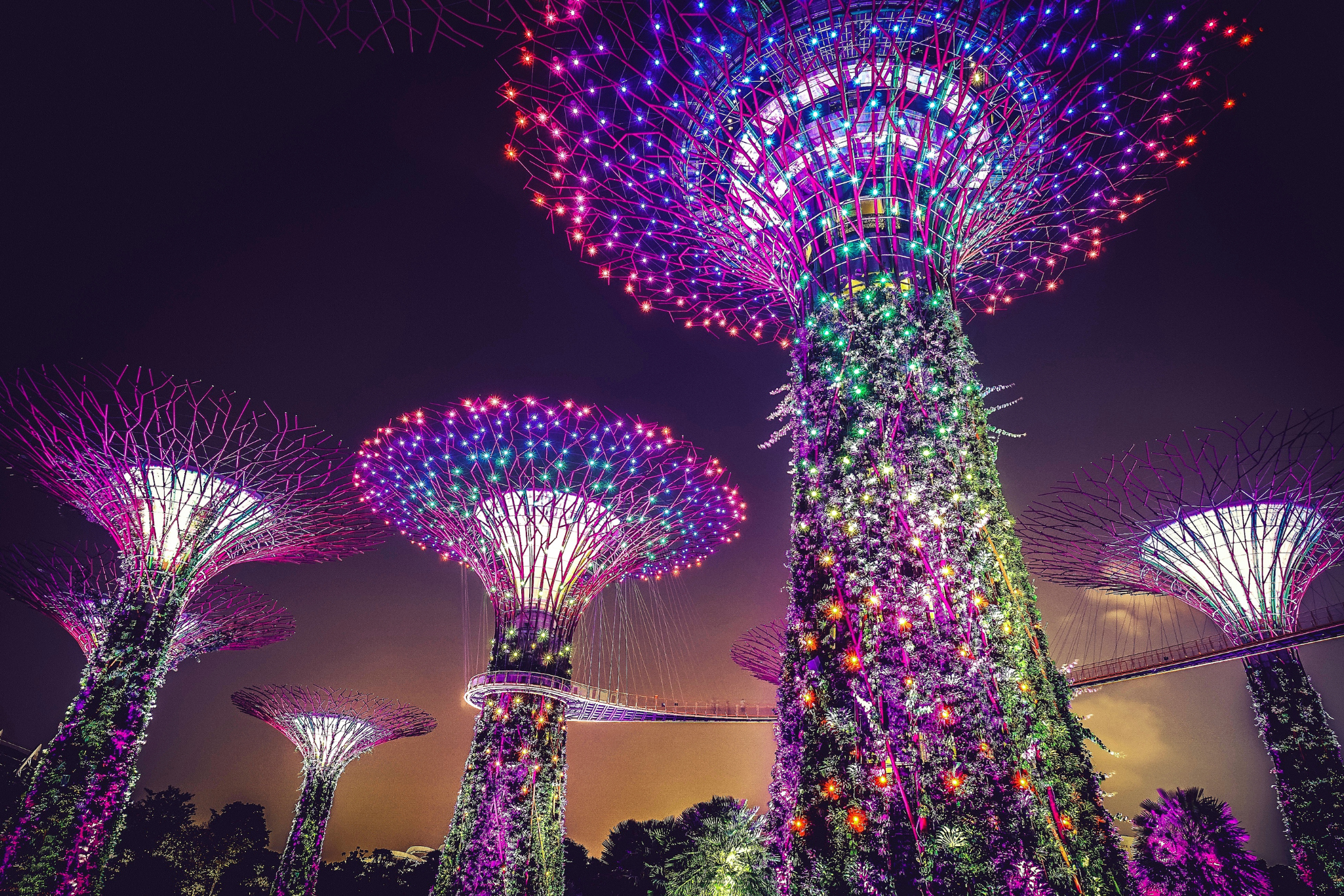 Singapore Hotel Header